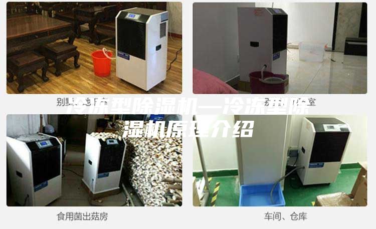 冷冻型除湿机—冷冻型除湿机原理介绍