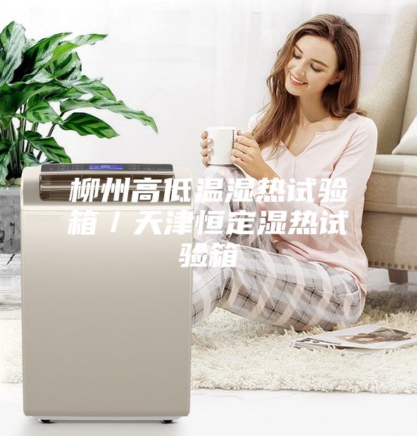 柳州高低温湿热试验箱／天津恒定湿热试验箱