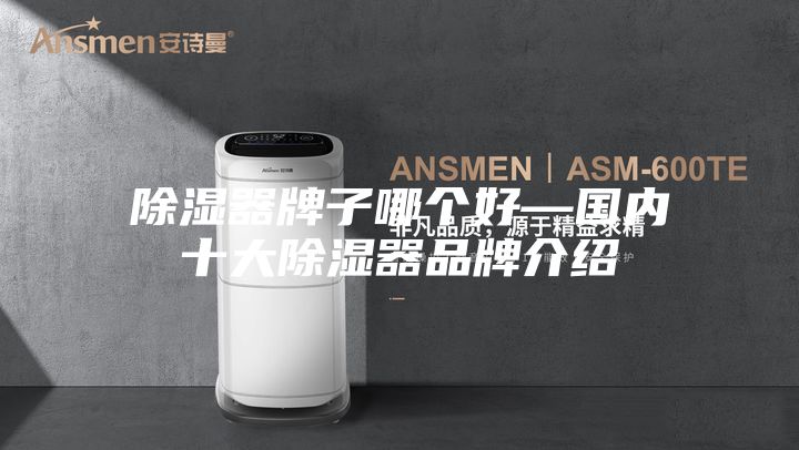 除湿器牌子哪个好—国内十大除湿器品牌介绍