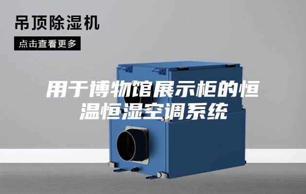 用于博物馆展示柜的恒温恒湿空调系统