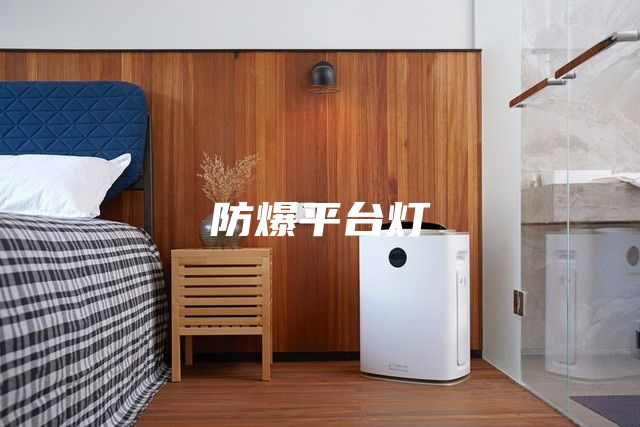 防爆平台灯