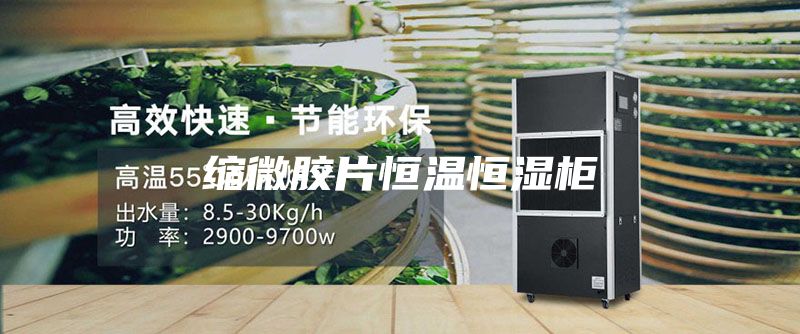 缩微胶片恒温恒湿柜