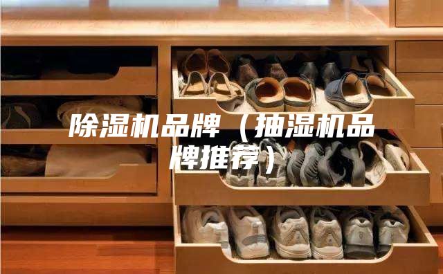 除湿机品牌（抽湿机品牌推荐）