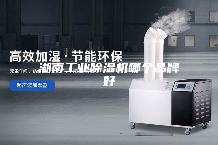 湖南工业除湿机哪个品牌好