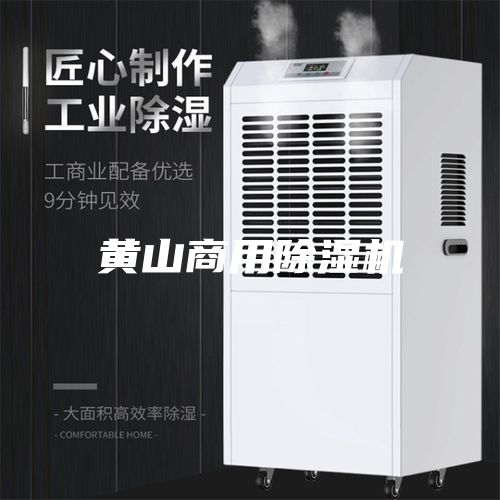 黄山商用除湿机