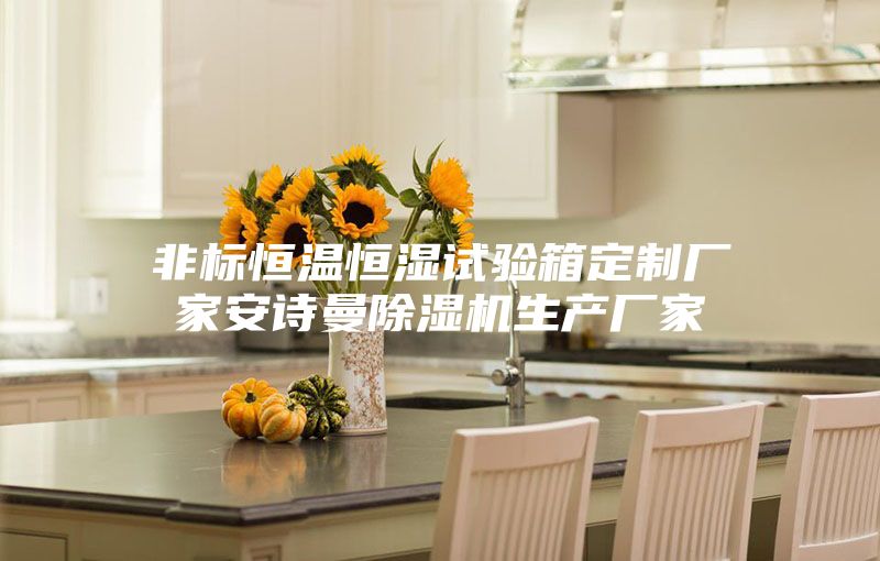 非标恒温恒湿试验箱定制厂家安诗曼除湿机生产厂家