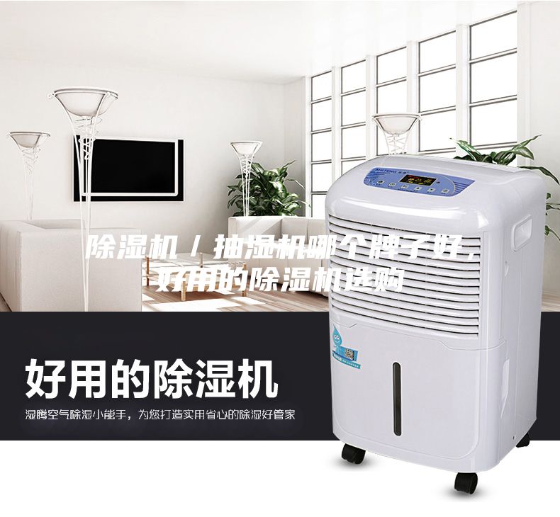 除湿机／抽湿机哪个牌子好，好用的除湿机选购