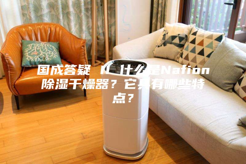 国成答疑 II 什么是Nafion除湿干燥器？它具有哪些特点？