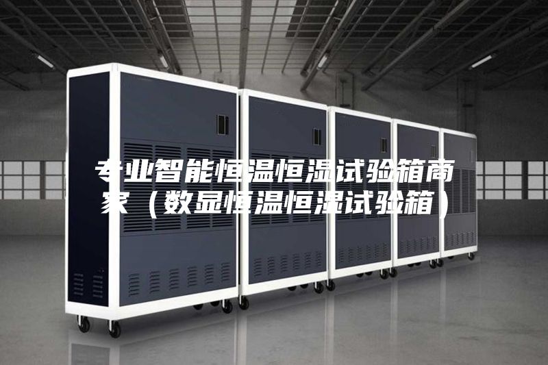 专业智能恒温恒湿试验箱商家（数显恒温恒湿试验箱）