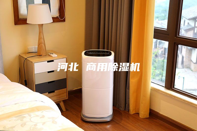 河北 商用除湿机