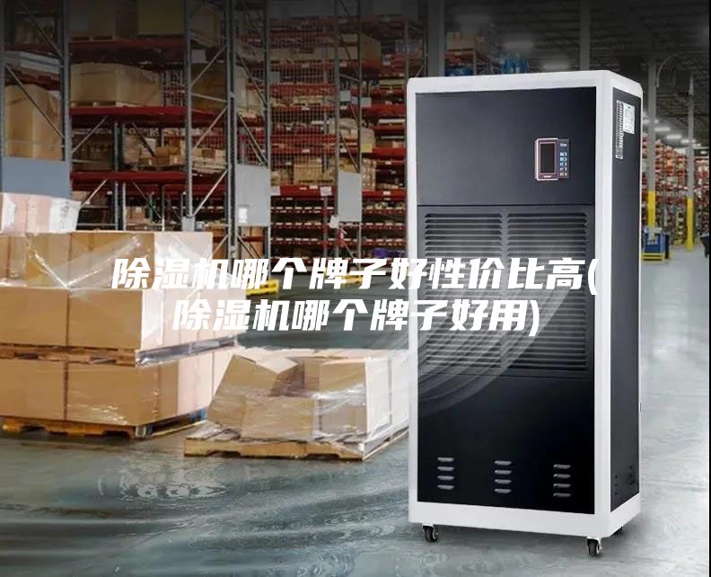 除湿机哪个牌子好性价比高(除湿机哪个牌子好用)
