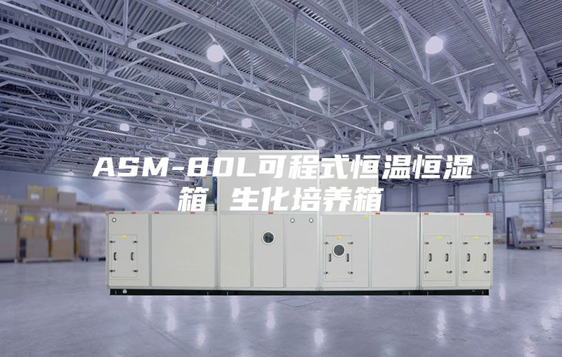 ASM-80L可程式恒温恒湿箱 生化培养箱