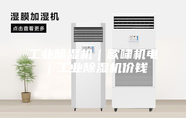 工业除湿机｜欧啸机电｜工业除湿机价钱