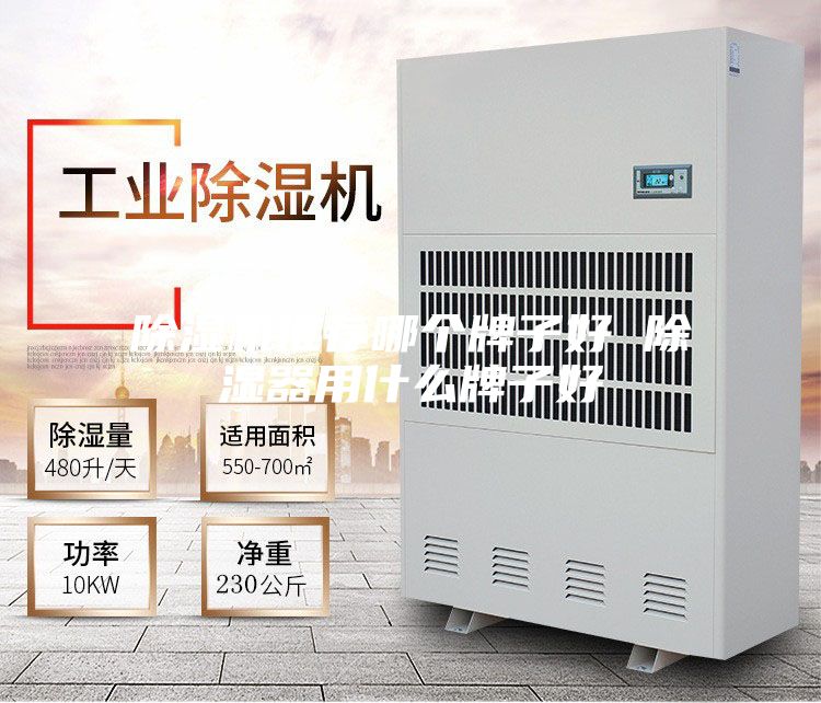 除湿机推荐哪个牌子好 除湿器用什么牌子好