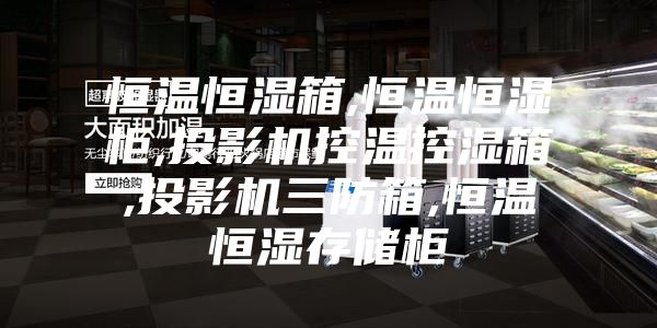 恒温恒湿箱,恒温恒湿柜,投影机控温控湿箱,投影机三防箱,恒温恒湿存储柜