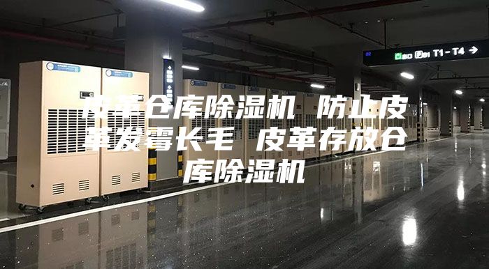 皮革仓库除湿机 防止皮革发霉长毛 皮革存放仓库除湿机