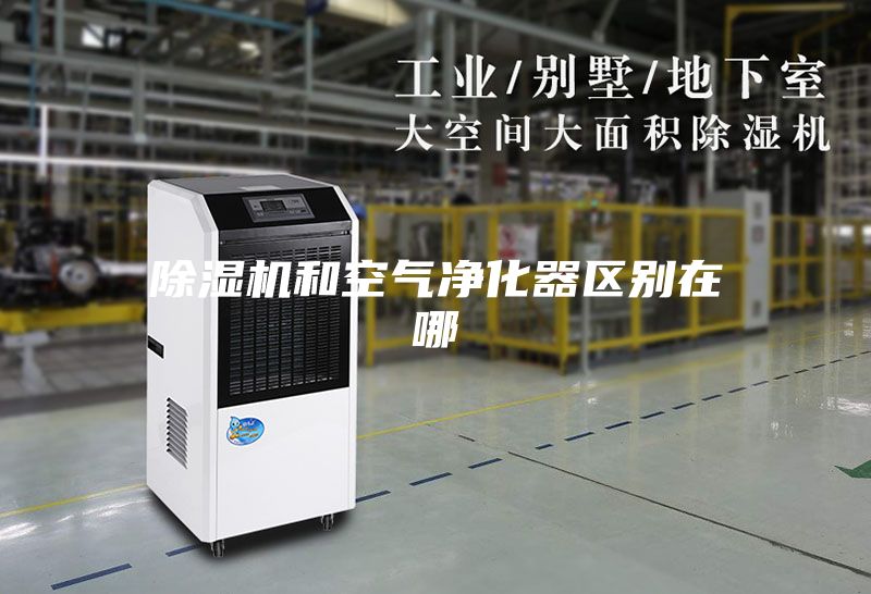 除湿机和空气净化器区别在哪