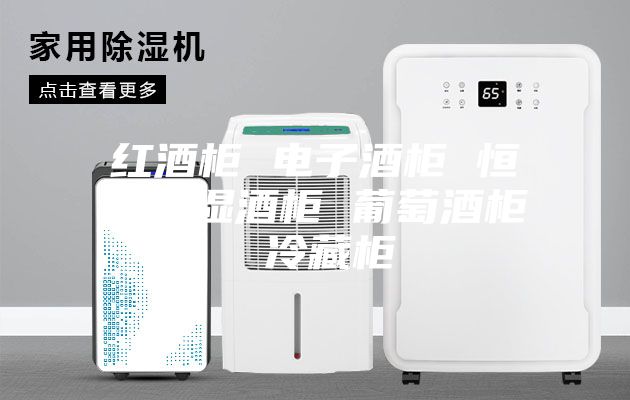 红酒柜 电子酒柜 恒温恒湿酒柜 葡萄酒柜 冷藏柜