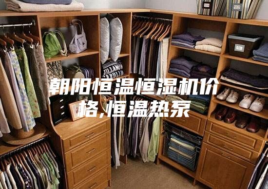 朝阳恒温恒湿机价格,恒温热泵