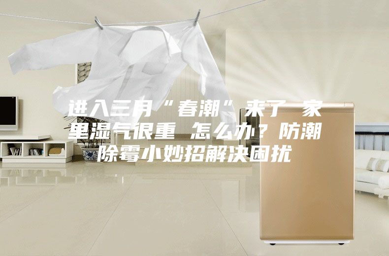 进入三月“春潮”来了 家里湿气很重 怎么办？防潮除霉小妙招解决困扰