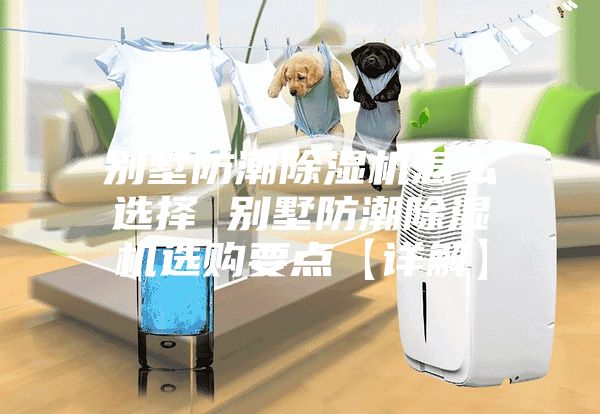 别墅防潮除湿机怎么选择 别墅防潮除湿机选购要点【详解】