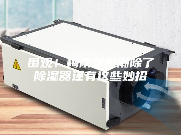 围观！梅雨季防潮除了除湿器还有这些妙招