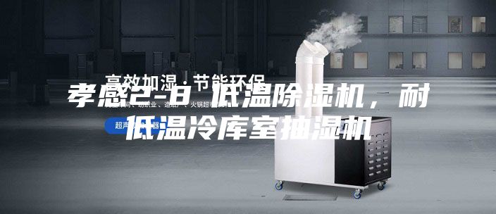 孝感2-8℃低温除湿机，耐低温冷库室抽湿机