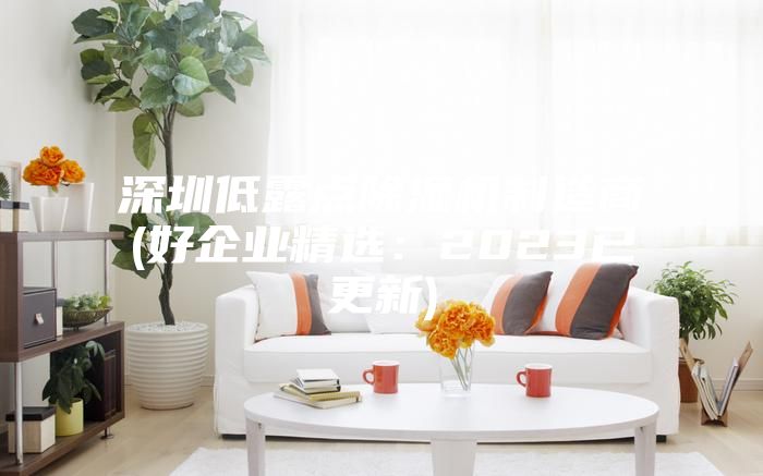 深圳低露点除湿机制造商(好企业精选：2023已更新)