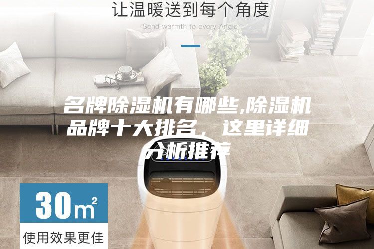 名牌除湿机有哪些,除湿机品牌十大排名，这里详细分析推荐