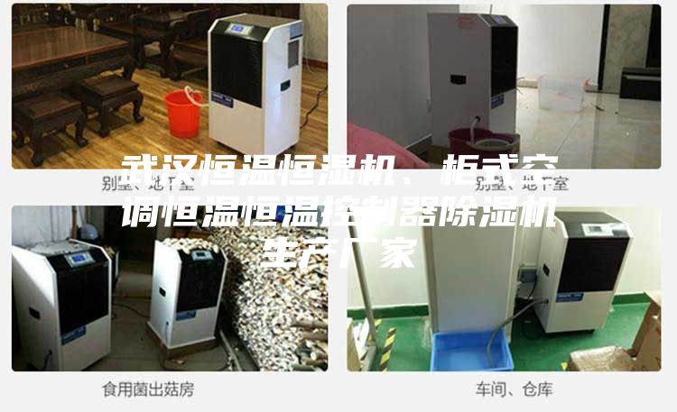 武汉恒温恒湿机、柜式空调恒温恒温控制器除湿机生产厂家