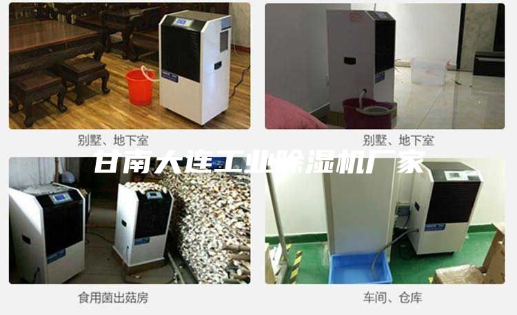 甘南大连工业除湿机厂家