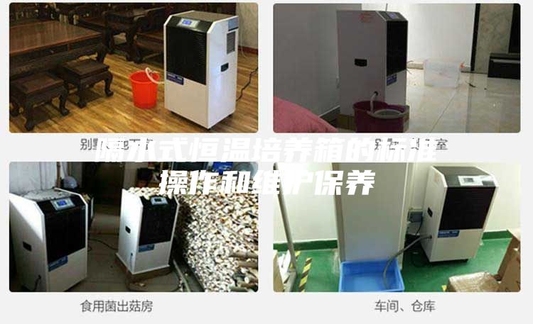 隔水式恒温培养箱的标准操作和维护保养