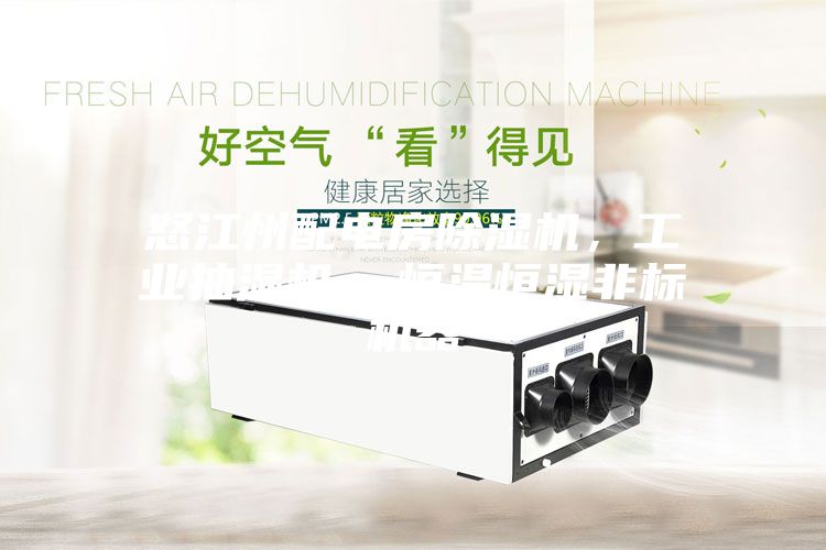 怒江州配电房除湿机，工业抽湿机  恒温恒湿非标机器