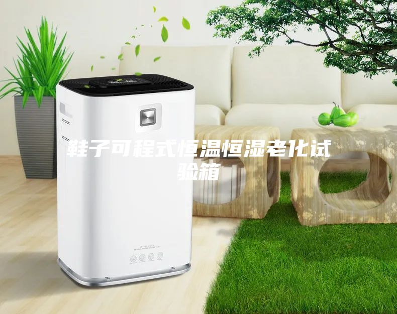 鞋子可程式恒温恒湿老化试验箱