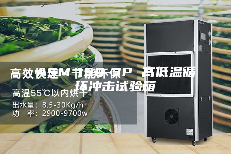 ASM-150-3P 高低温循环冲击试验箱