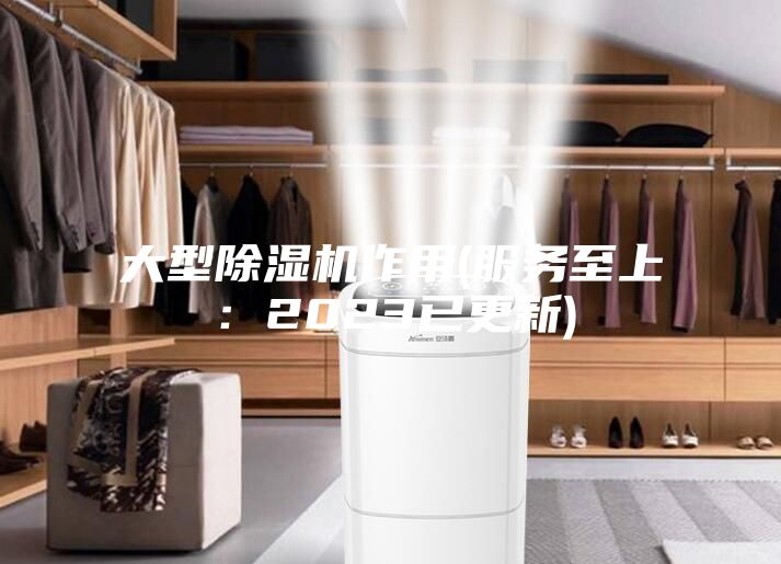 大型除湿机作用(服务至上：2023已更新)