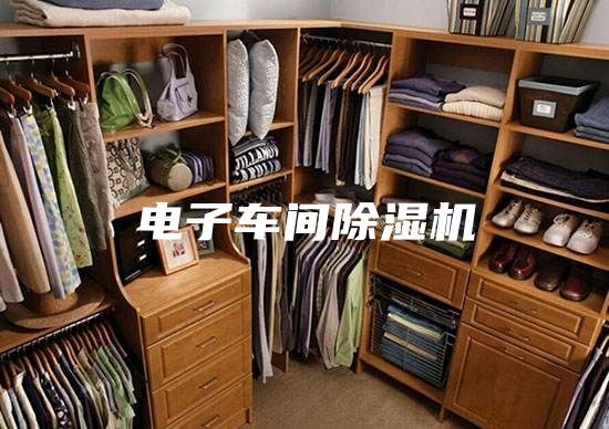 电子车间除湿机