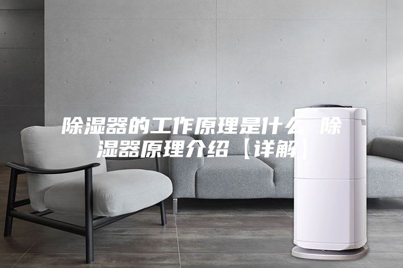 除湿器的工作原理是什么 除湿器原理介绍【详解】