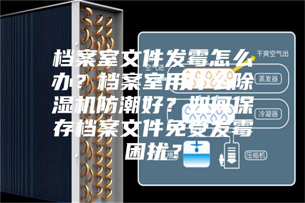 档案室文件发霉怎么办？档案室用什么除湿机防潮好？如何保存档案文件免受发霉困扰？
