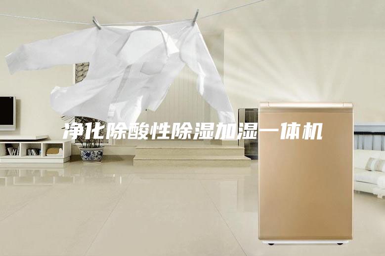 净化除酸性除湿加湿一体机