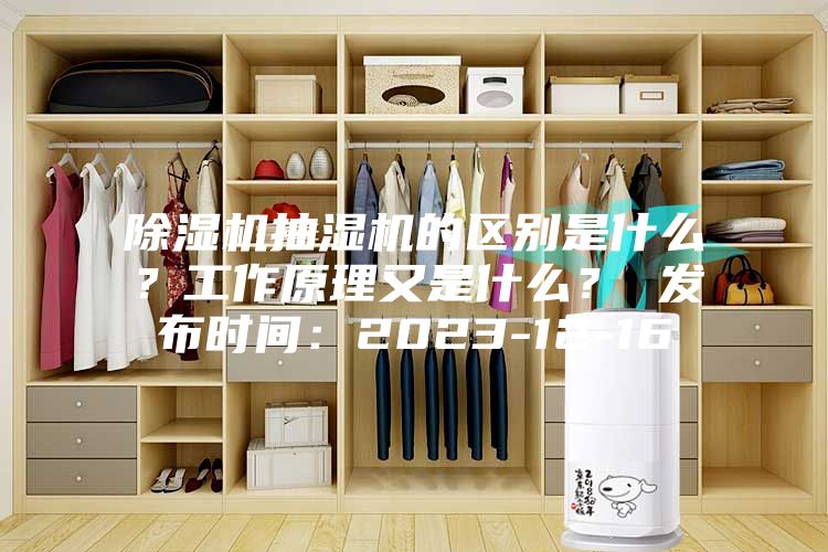 除湿机抽湿机的区别是什么？工作原理又是什么？ 发布时间：2023-12-16