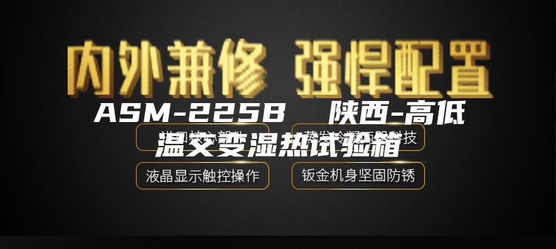 ASM-225B  陕西-高低温交变湿热试验箱