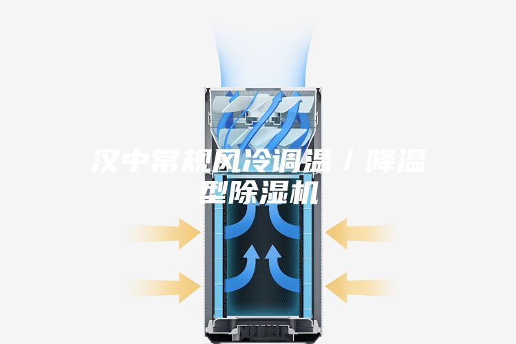 汉中常规风冷调温／降温型除湿机