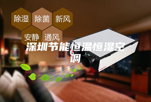 深圳节能恒温恒湿空调