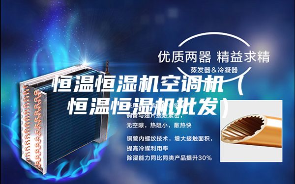 恒温恒湿机空调机（恒温恒湿机批发）