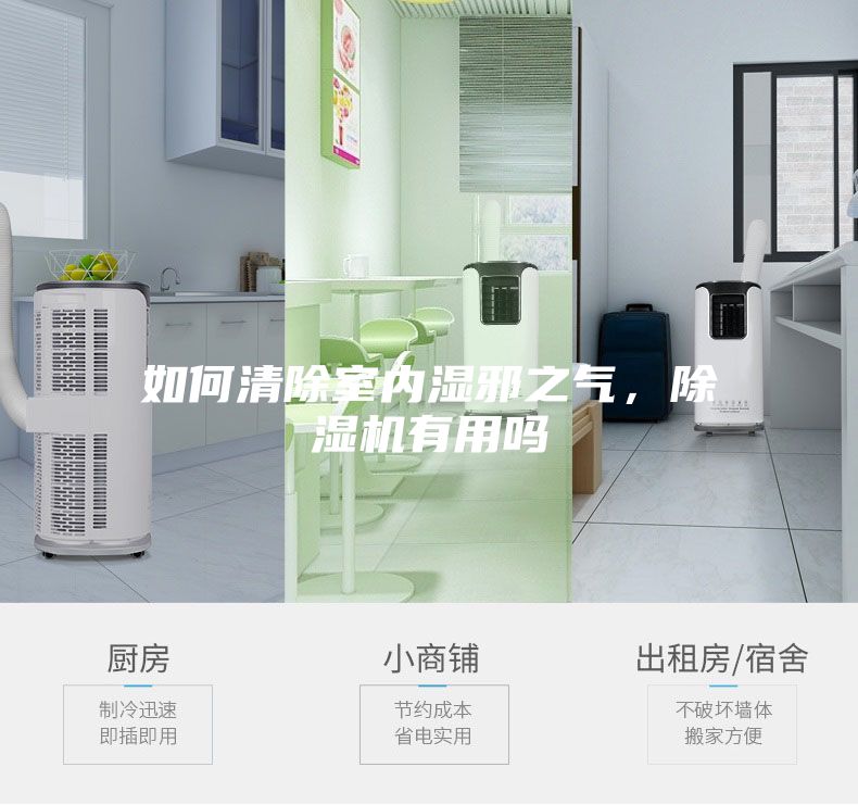 如何清除室内湿邪之气，除湿机有用吗