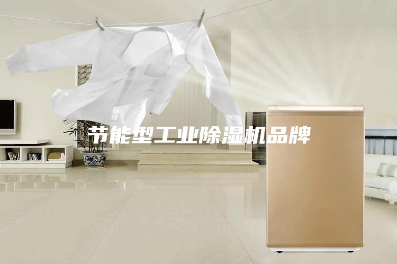节能型工业除湿机品牌