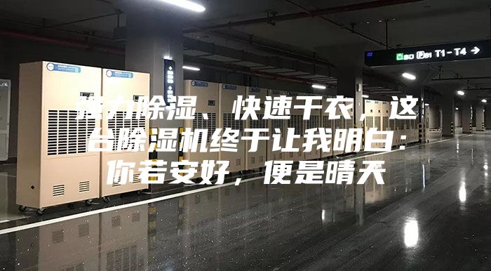 强力除湿、快速干衣，这台除湿机终于让我明白：你若安好，便是晴天