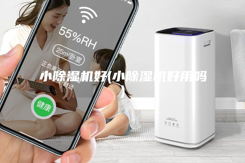 小除湿机好(小除湿机好用吗)