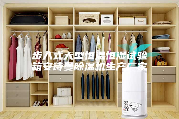 步入式大型恒温恒湿试验箱安诗曼除湿机生产厂家